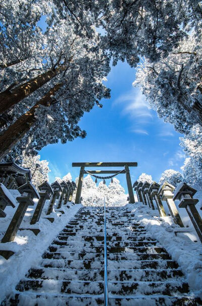 Mt.Kongou, Katsuragi shrine,Nara,Japan。日本奈良葛木神社。在作为大阪府与奈良县交界地的金刚山上(标高1125米)有起源于山岳信仰的葛木神社和转法轮寺。此为葛木神社的阶梯。