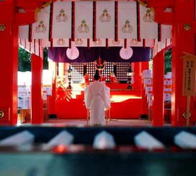 神社风貌---诵祝词的神职人员。（祝词奏上：神官捧上祭祀神的祈祷文）