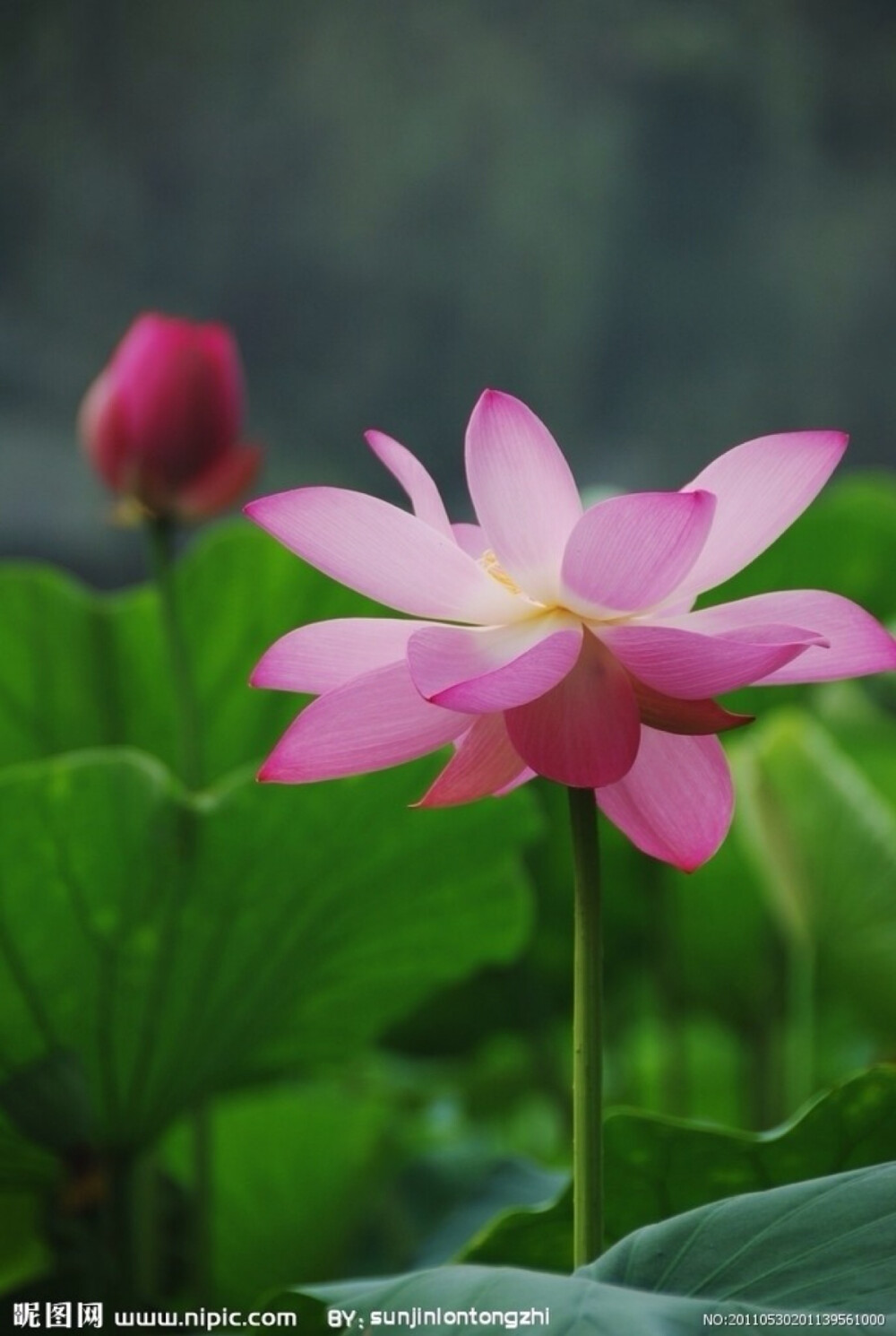 明朗法师照片图片