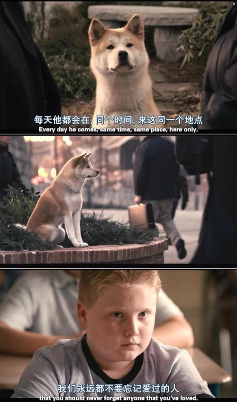 忠犬八公