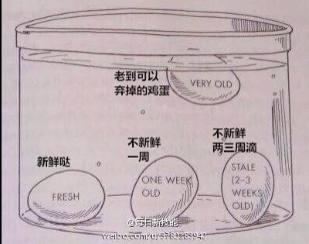 有的时候会不记得冰箱里鸡蛋是什么时候买的，一个简单判断鸡蛋新鲜程度的技能分享给大家~~