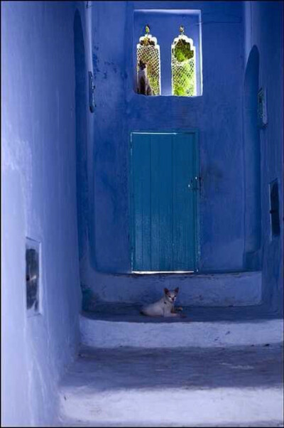 萧安(Chefchaouen) 是摩洛哥最美丽的城鎮，整座依山而建，有着西班牙风格的紅瓦屋頂和漆上淡蓝色的墙面。希腊的蓝永远都有白陪在旁边；可萧安，只是肆无忌惮地张扬着自己的蓝。