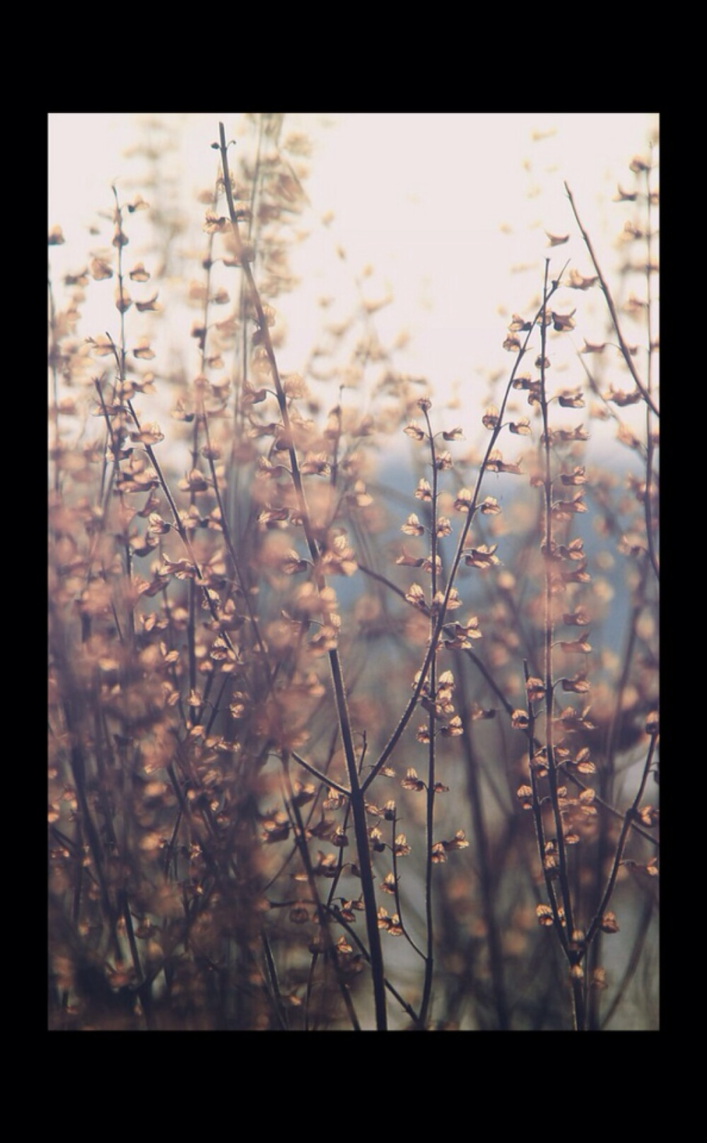 Fall Bokeh - Traum Sturm 摄影作品：秋