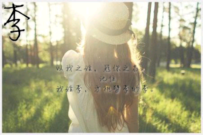 记住，我姓李，方桃譬李的李。