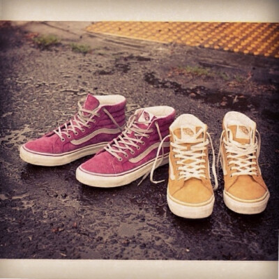 VANS*