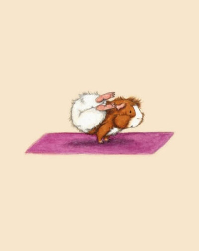 练瑜伽的小仓鼠4