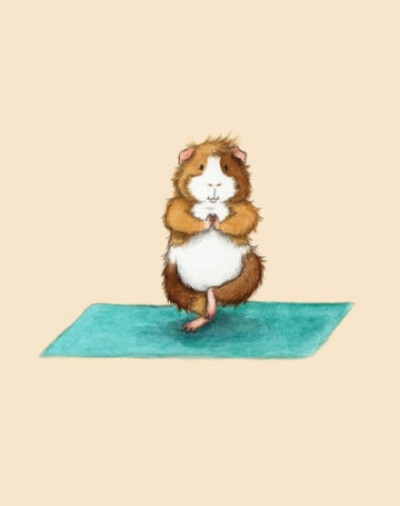 练瑜伽的小仓鼠5