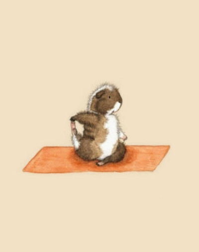 练瑜伽的小仓鼠9