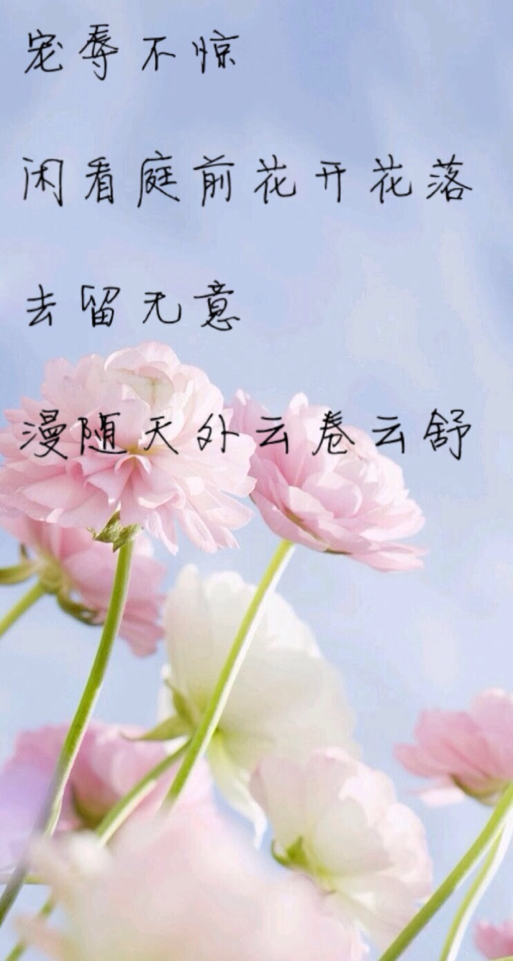 宠辱不惊，看庭前花开花落；去留无意，望天上云卷云舒