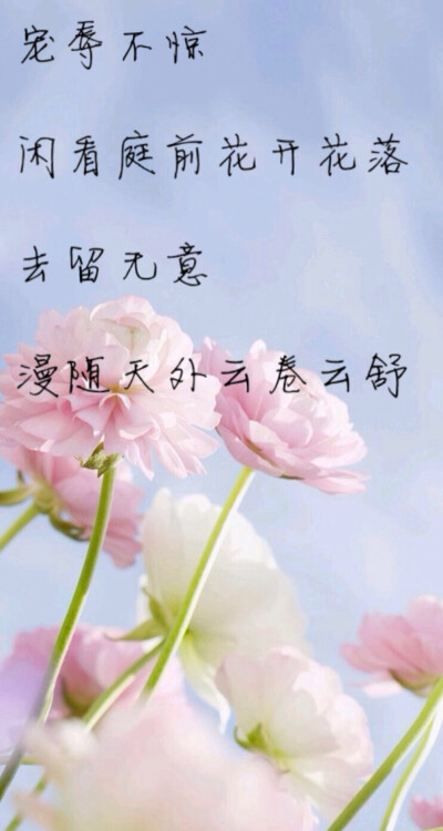 宠辱不惊，看庭前花开花落；去留无意，望天上云卷云舒