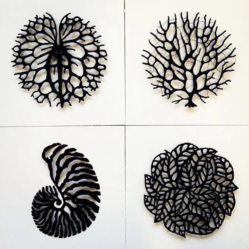 “从记事开始，树叶镂空的形态就给我留下了深刻的印象。”澳大利亚艺术家Meredith Woolnough模仿珊瑚、树叶及其他自然元素进行刺绣作品创作。“大自然永远是灵感的源泉。”Meredith说。 Meredith的特殊刺绣方法让自然界的纹理在她手中得到完美呈现。“我所采用的刺绣方法并非布上刺绣，绣品的结构得以在三维空间里出现。”