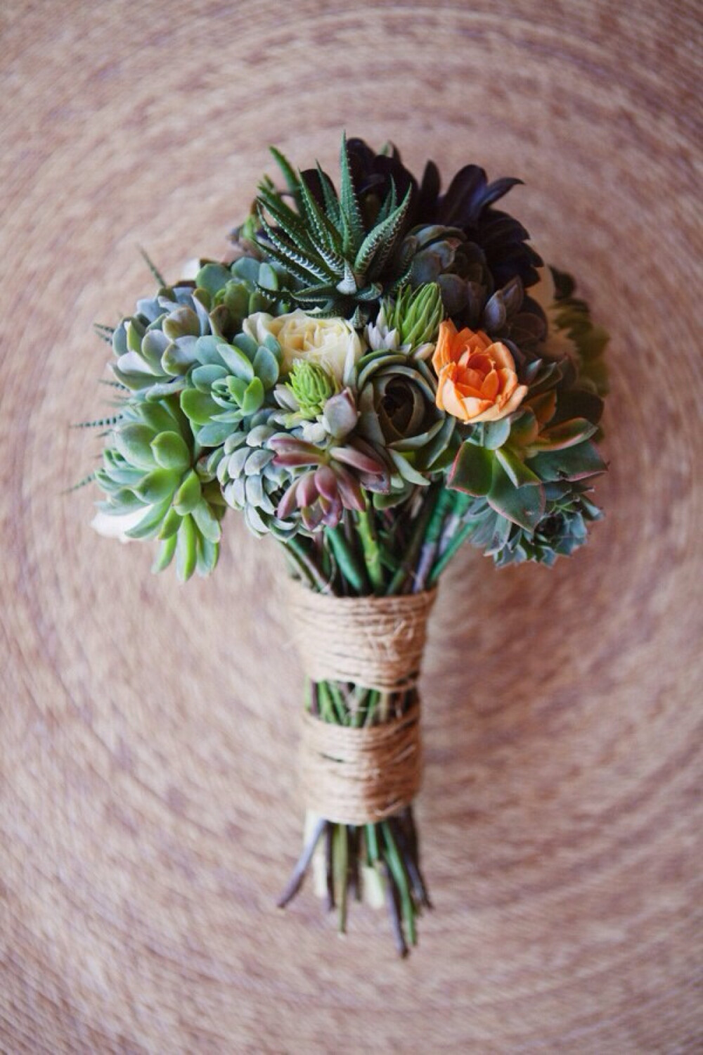 它可以跟随你的婚礼风格，或淡雅，或活泼，也可以妖冶至极。所以千万别小看了多肉君，它是百变所以美丽！