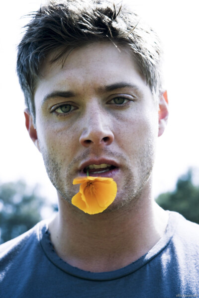 詹森·阿克斯 Jensen Ackles