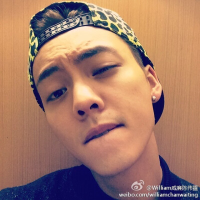 陈伟霆 William Chan