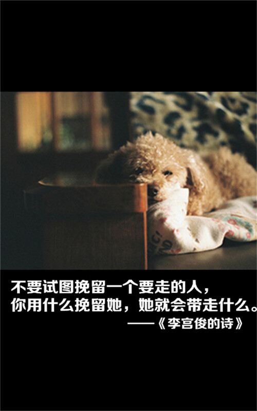 文字控图片、文字图片、文字美图、唯美图片、小清新美图