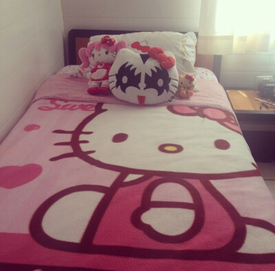 Sanrio Hello Kitty 其它~