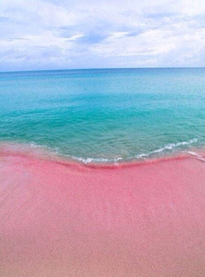 世上独一无二的粉色沙滩 巴哈马哈勃岛东侧的Pink Sands Beach