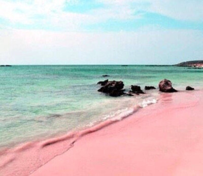 世上独一无二的粉色沙滩 巴哈马哈勃岛东侧的Pink Sands Beach