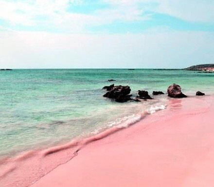 世上独一无二的粉色沙滩 巴哈马哈勃岛东侧的Pink Sands Beach