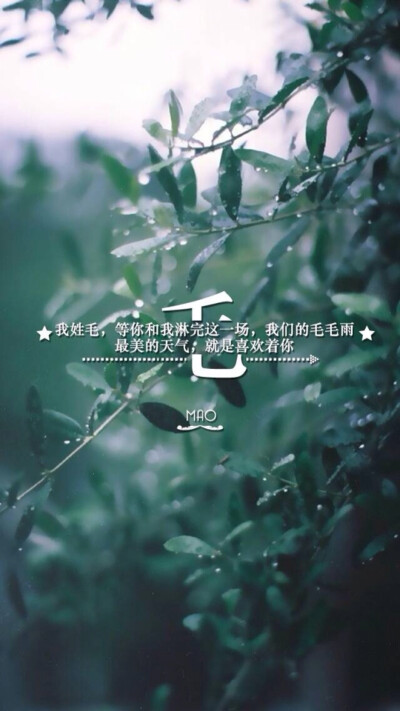 (by拖沓囍天王)姓氏壁纸－我姓毛