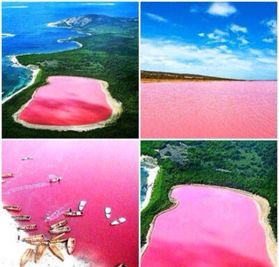 Lake Hillier 澳大利亚的粉色湖泊