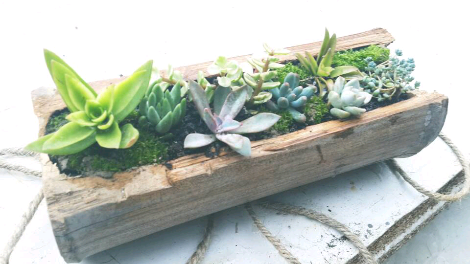 两头用麻绳一系就可以吊起来。