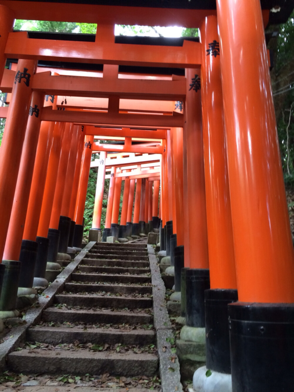 千本鸟居