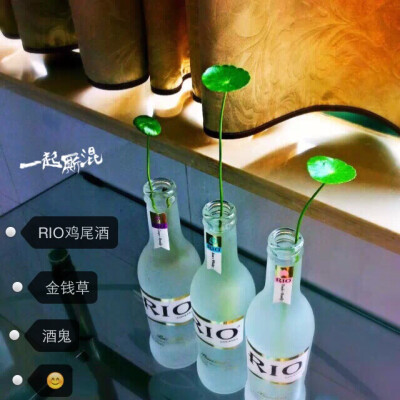 哦，不对，那草太可恶，居然拿我的酒泡脚～～～～～#RIO鸡尾酒# #金钱草#