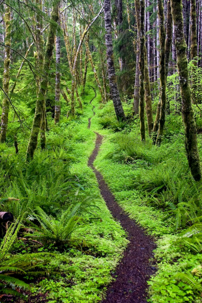 人生如行路，一路艰辛，一路风景。你的目光所及，就是你的人生境界。总是看到比自己优秀的人，说明你正在走上坡路；总是看到不如自己的人，说明你正在走下坡路。与其埋怨，不如思变。