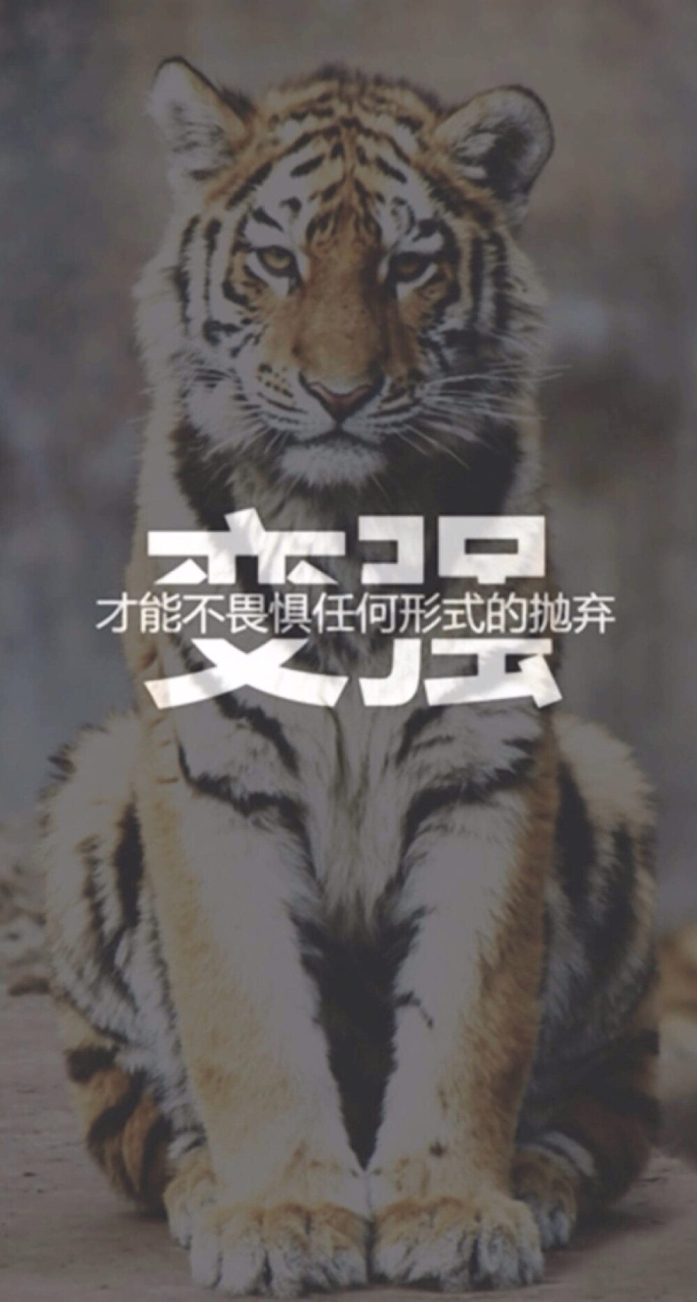 伤感文字壁纸