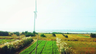 台中火車上的美景。圖片by～寶貝熊。