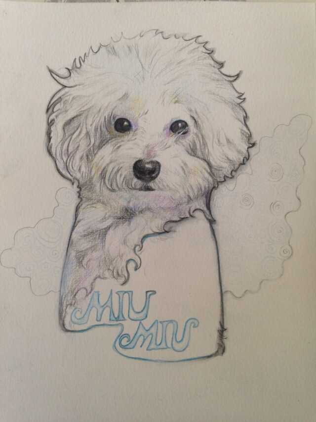 friends's dog miumiu by lilian lee