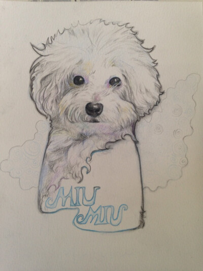 friends's dog miumiu by lilian lee