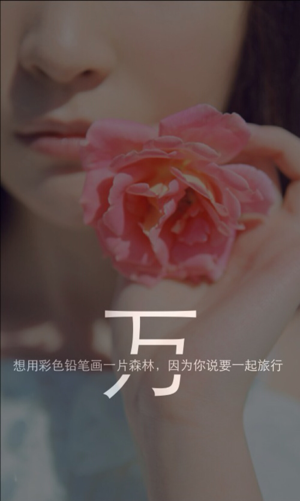 我姓万 - 堆糖,美图壁纸兴趣社区