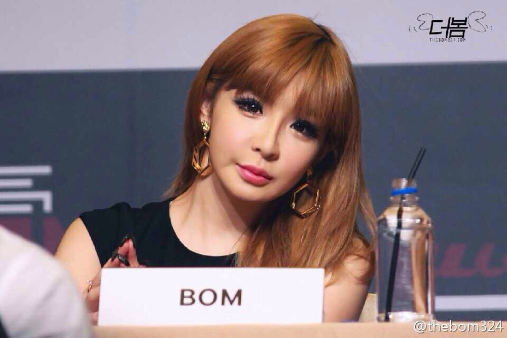 2ne1 Bom 朴春