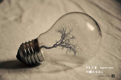 摄影师Adrian Limani的系列摄影作品：?Light Bulbs，通过对普通灯泡照片的特殊处理，创作出了一系列独特的超现实主义作品，呈现出了不一样的微观世界。