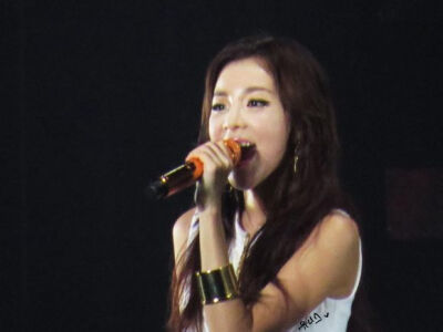 2NE1 sandara