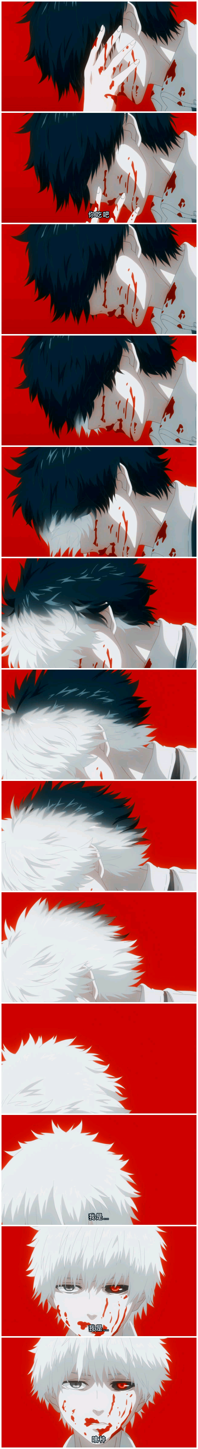 可怜的小金木qaq