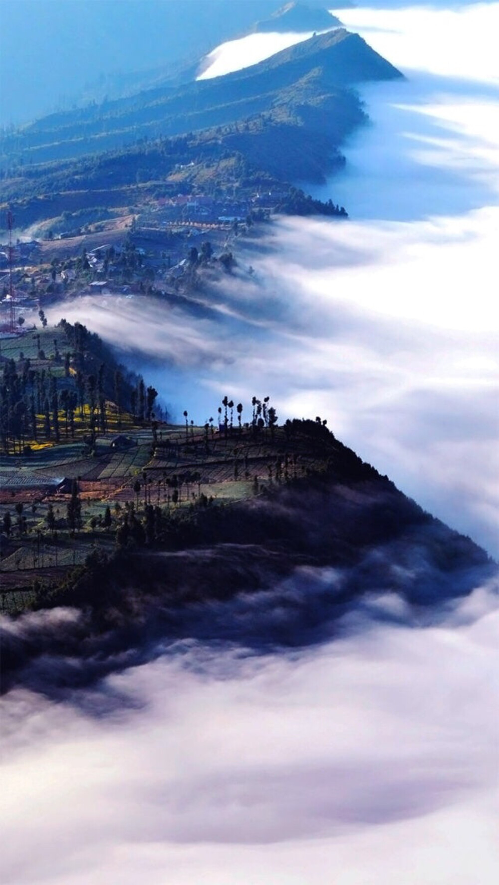 印度尼西亚爪哇岛