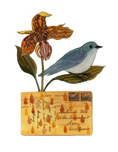 墨西哥插画家Geninne D Zlatkis，除了画画，她制作木雕，刺绣，作品内容大多是各种各样的小鸟。 Geninne D Zlatkis的工作室及创作过程和作品
