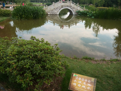 有些风景因为有你的陪伴而更加美好