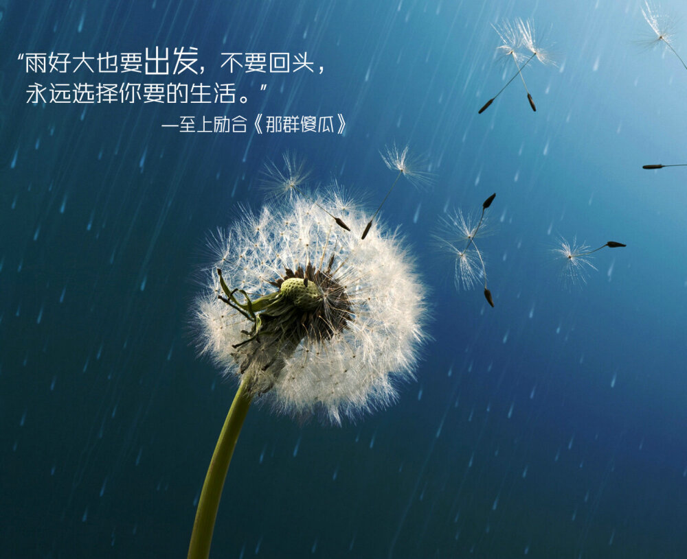 2014.5.28 “雨好大也要出发，不要回头，永远选择你要的生活。” ——至上励合《那群傻瓜》