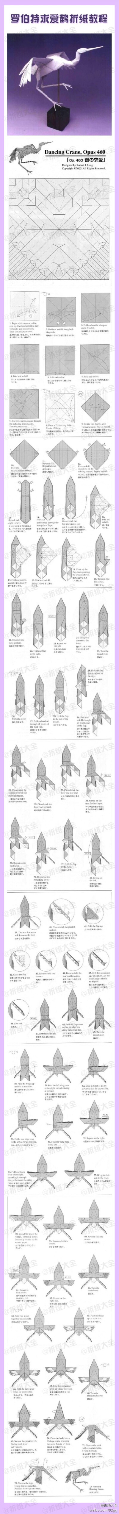 【罗伯特求爱鹤折纸教程】漂亮的鹤之舞~