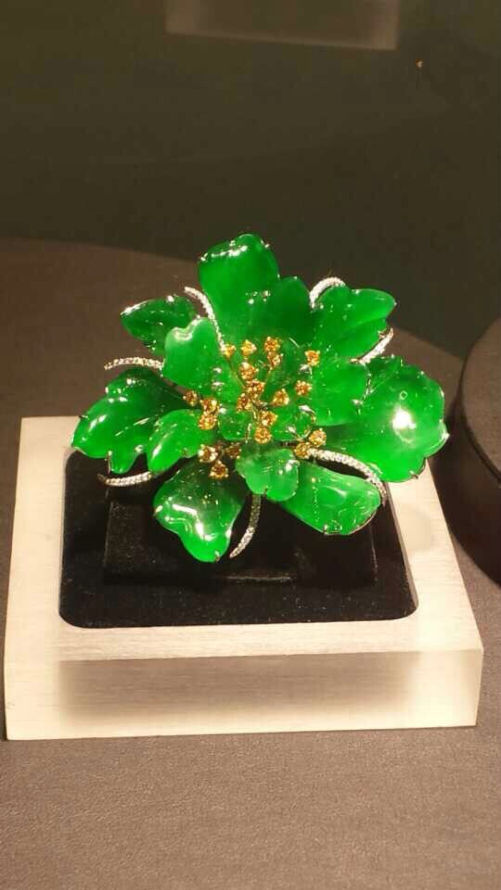 家有黄金万两，不如凝翠一方。