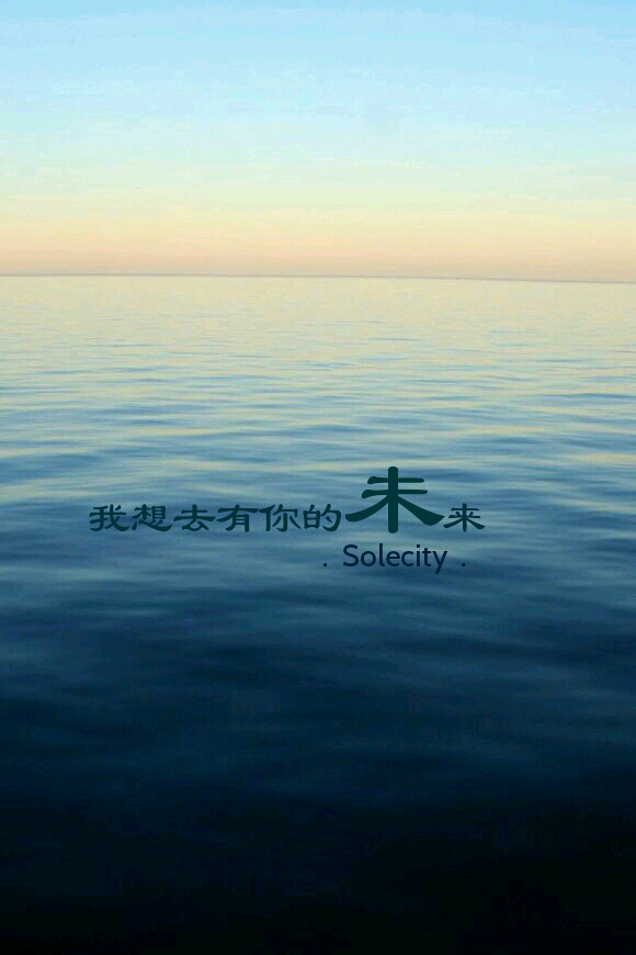 原创 .solecity. 我想去有你的未来