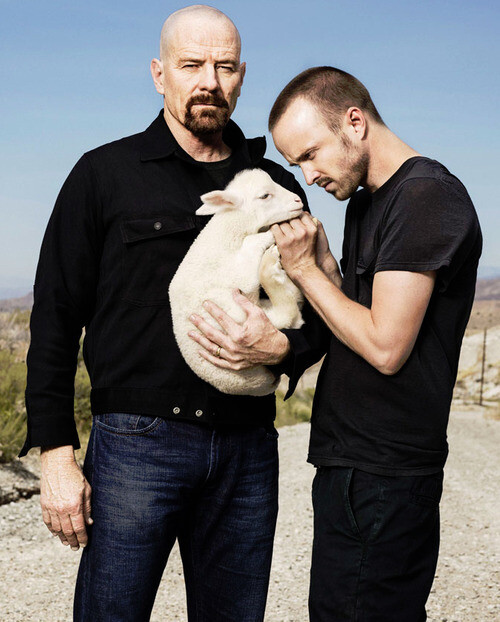 《绝命毒师 Breaking Bad》- 布莱恩·科兰斯顿 Bryan Cranston、亚伦·保尔 Aaron Paul