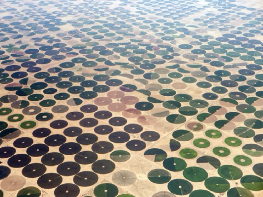 以水源为轴心,在一个圆形区域内进行灌溉,因而形成了一片圆形农田