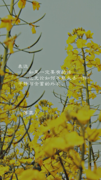 文字壁纸 诗词 摘抄 #Cuz You 're My Dearest# 我一直觉得，交流是一件悲伤的事情，被理解是一件奢侈的事情。 七堇年