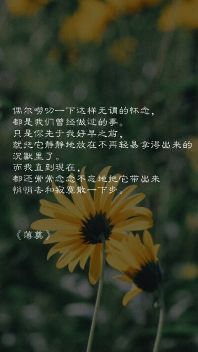 文字壁纸 诗词 摘抄 #Cuz You 're My Dearest# 我一直觉得，交流是一件悲伤的事情，被理解是一件奢侈的事情。 七堇年