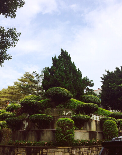 這裡是校園。台灣の校園都規劃的很好，有名的有東海大學，淡水中學，精誠中學⋯圖片by～寶貝熊